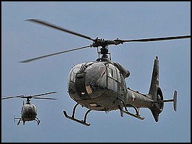 cins-3