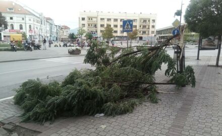 čačak