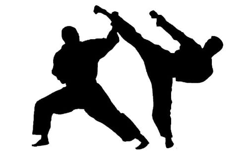 karate-1