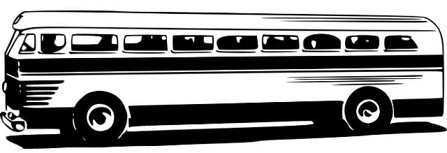 kavim-autobus