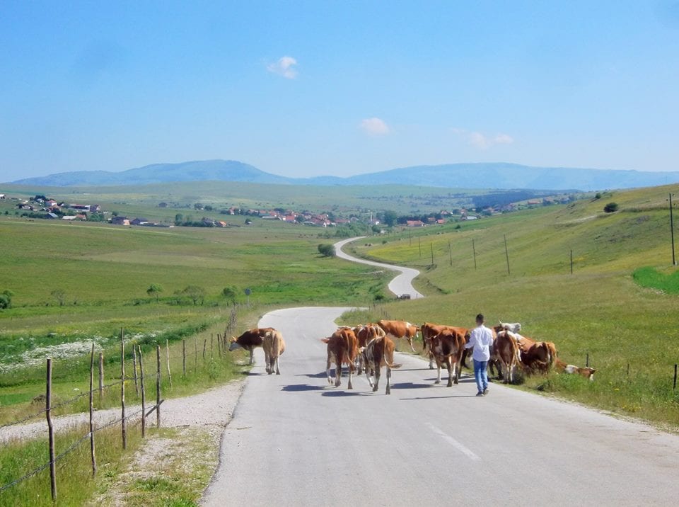 Upoznajte bespuća Balkana (VIDEO) 1 Pešter