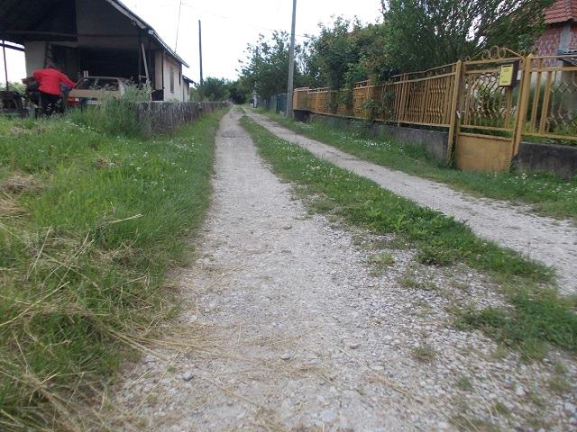 Ljubić: Peticija za asfalt i čišćenje kanala 2 ljubic_polje
