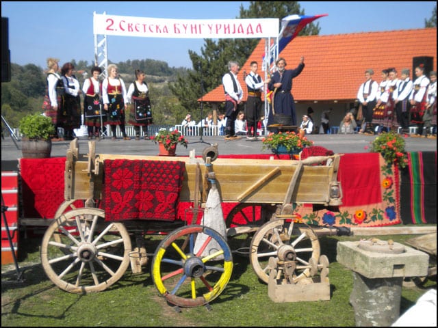 bungur-4