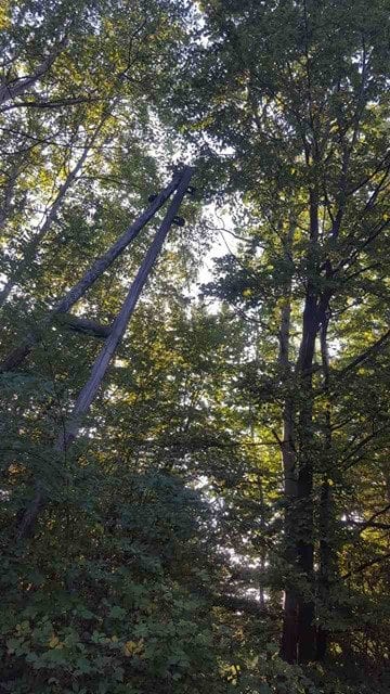 U 21. veku bez struje, telefona, računara i televizora 2 dalekovod1