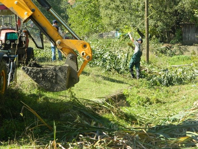 Očišćen Kulinovački potok pored vrtića Kolibri 2 reka, potok