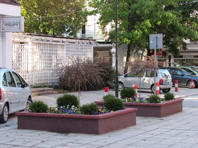 Posađen novi platan u Krenovom prolazu 3 platan