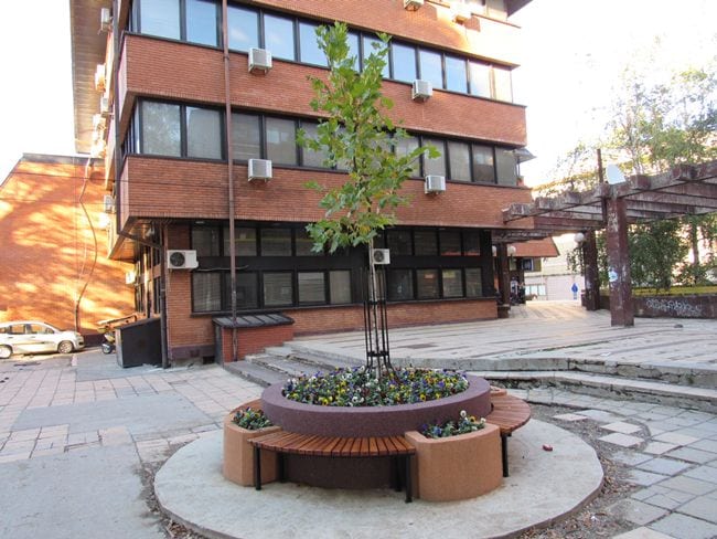 Posađen novi platan u Krenovom prolazu 1 platan2