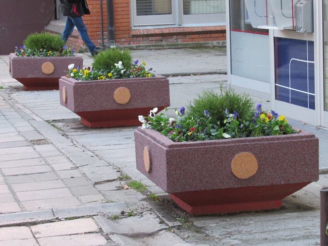 Posađen novi platan u Krenovom prolazu 2 platan3
