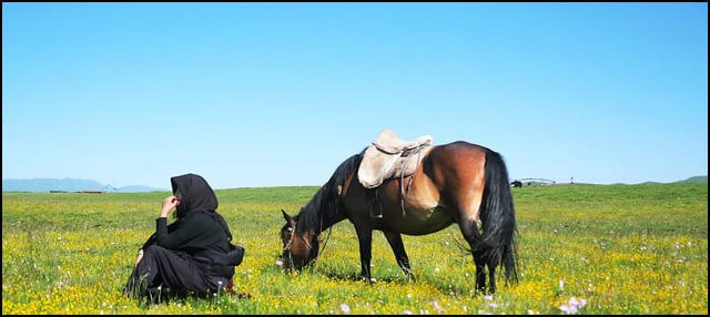 tibetanka