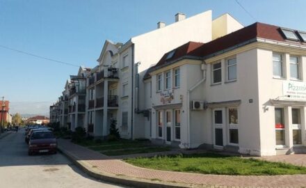 gvozdjar