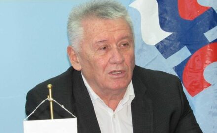 velimir ilić