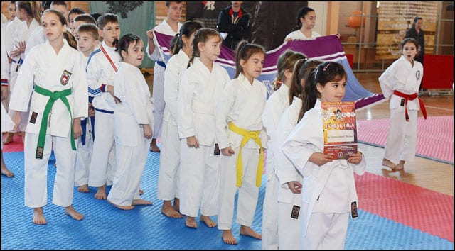 karate-3v