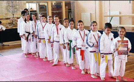 karate-4v