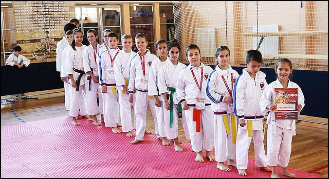 karate-4v