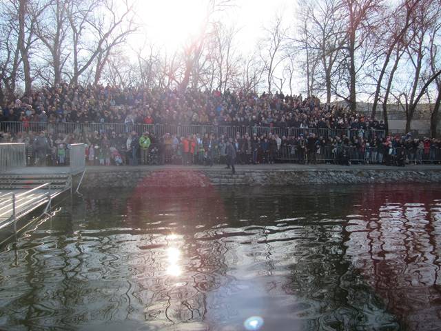 plivanje5
