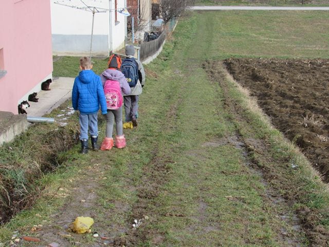 Bezdušna vlast: 40 godina gaze blato 4 put