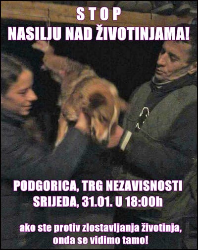 zivotinje-1