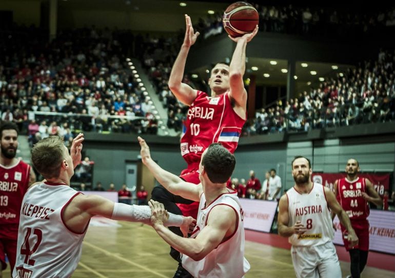 avramovic1