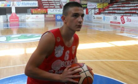 Vuk Radojičić