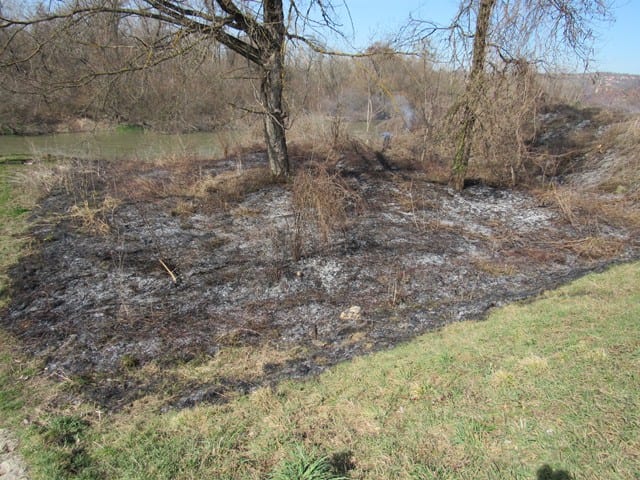 kosutnjak