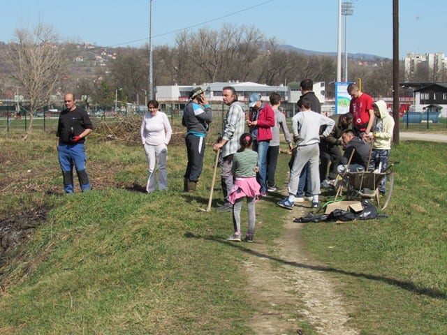 kosutnjak1
