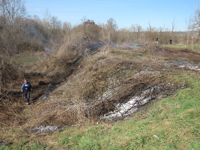 kosutnjak2