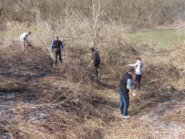 kosutnjak5