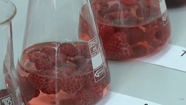 Istraživanje na Agronomskom: Obavezno oljuštite jabuke 1 laboratorija
