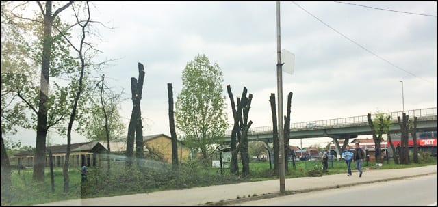 drvoseče-2a