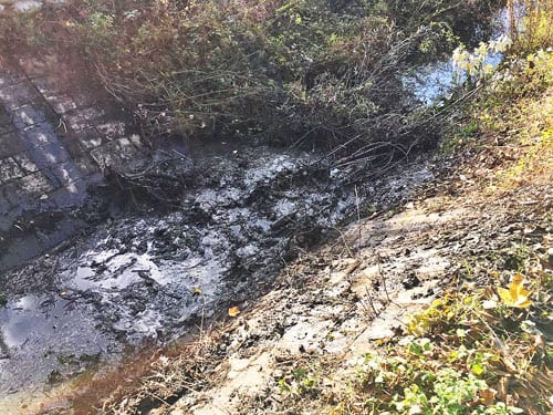 Ponovo trovanje građana Ljubić keja i Sajmišta 2 kanal-2