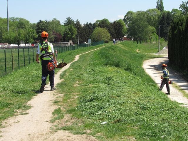 Progledao Košutnjak, očišćene obale Morave 7 kosutnjak2 1
