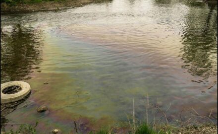 morava-1