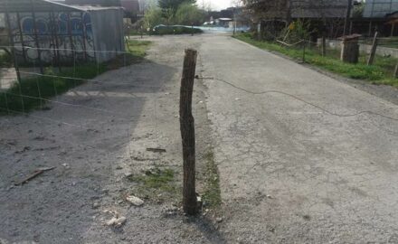 gucki put
