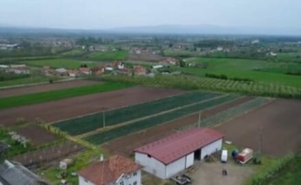 cacak