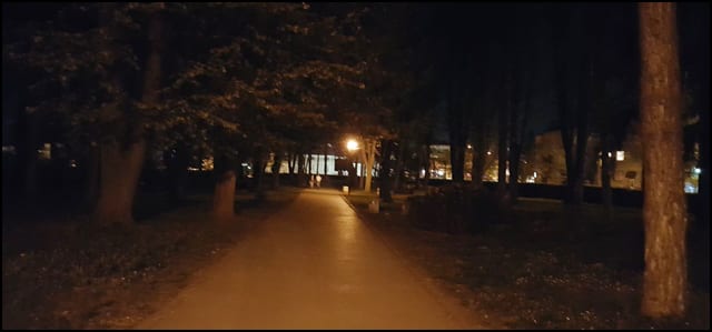 park-7