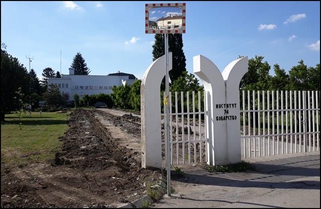institut-1