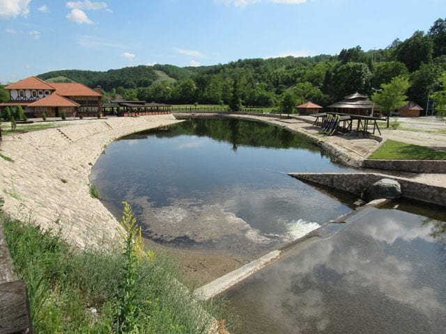 kostunici4