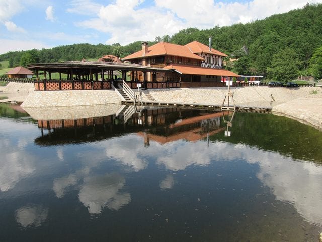 kotunici7