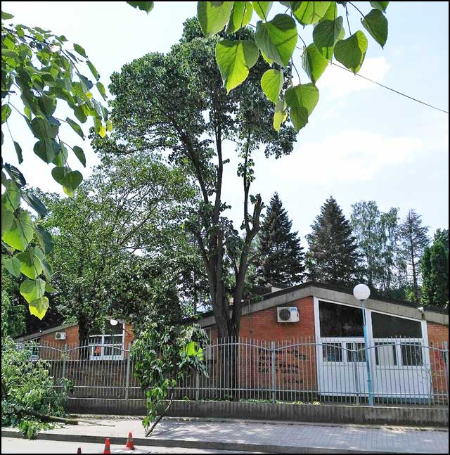 okresivanje-2