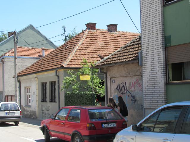 rajicevica
