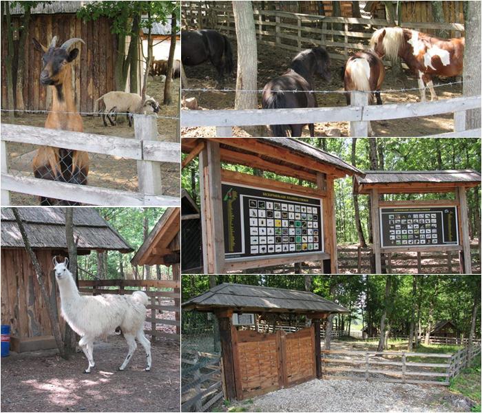 Izlet u Koštuniće (FOTO) 3 zoo vrt