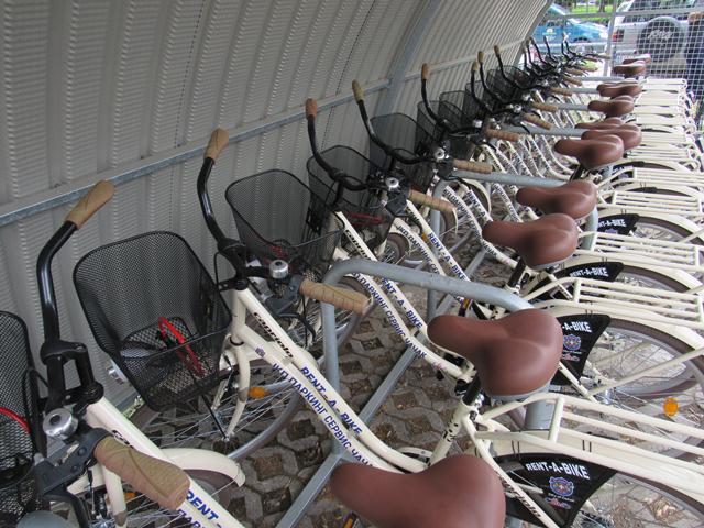 Počeo s radom rent a bike u Čačku (FOTO) 2 bicikle4