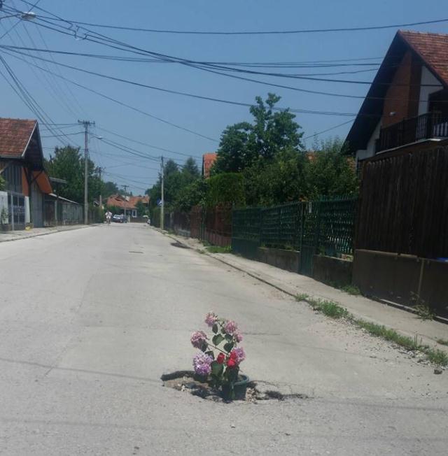 Prizivanje nadležnih: Cveće u rupi 1 ilije garasanina