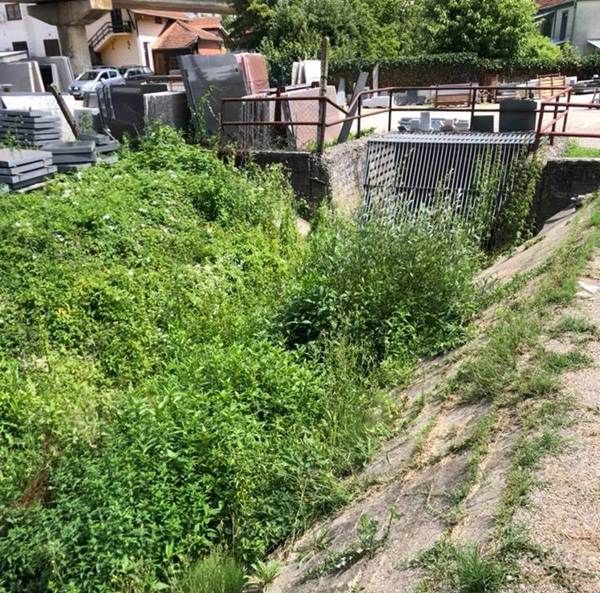 Korov opet osvojio kanal 2 kanal1