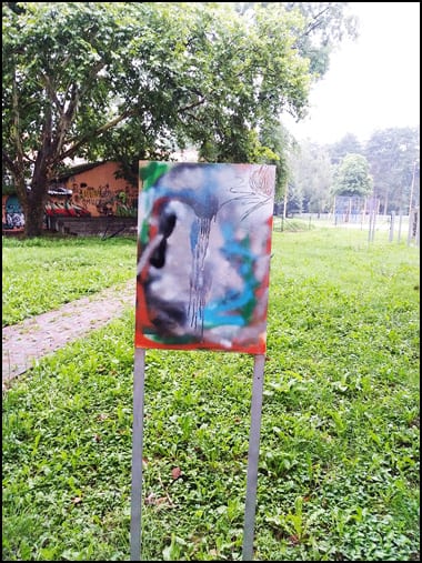 park-3