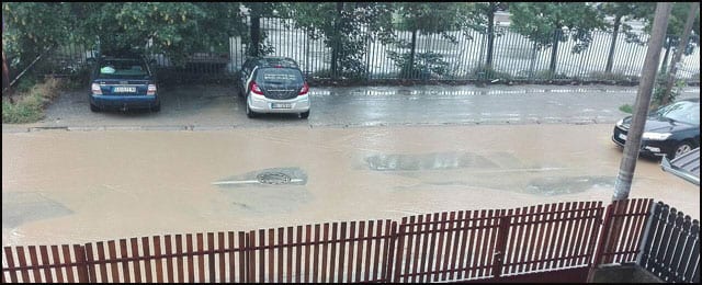 ulica-radenka-janjica
