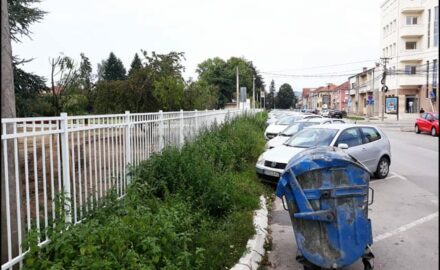 Institut-ograda-korov