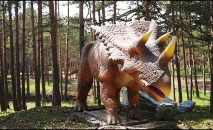 dina-park-zlatibor