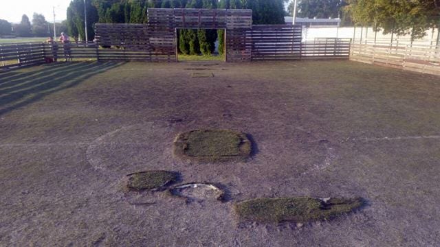 teren1