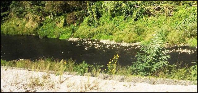 Zagađene Čemernice i Dičina 3 dicina-1